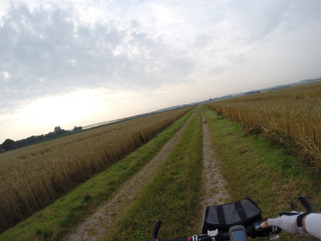 Chemin dans les champs