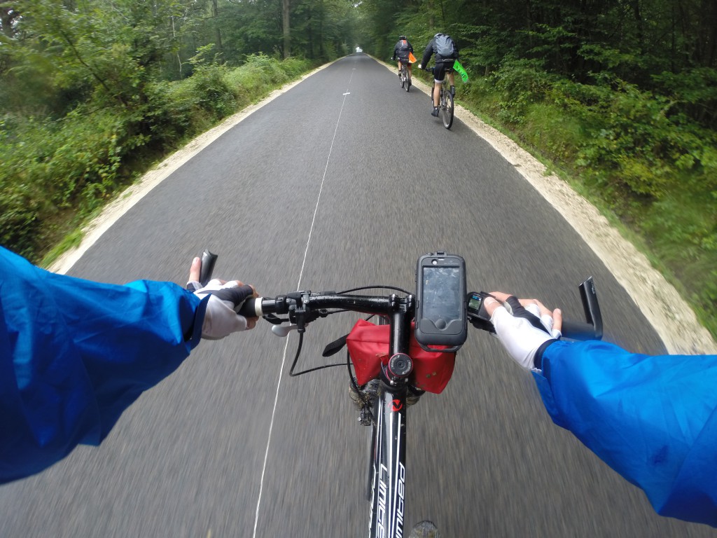 Forêt de Fontainebleau par la route