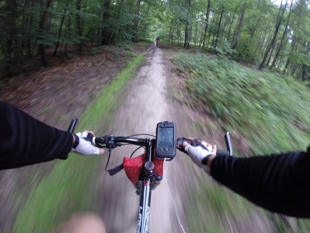 Traversée de Fontainebleau par les chemins