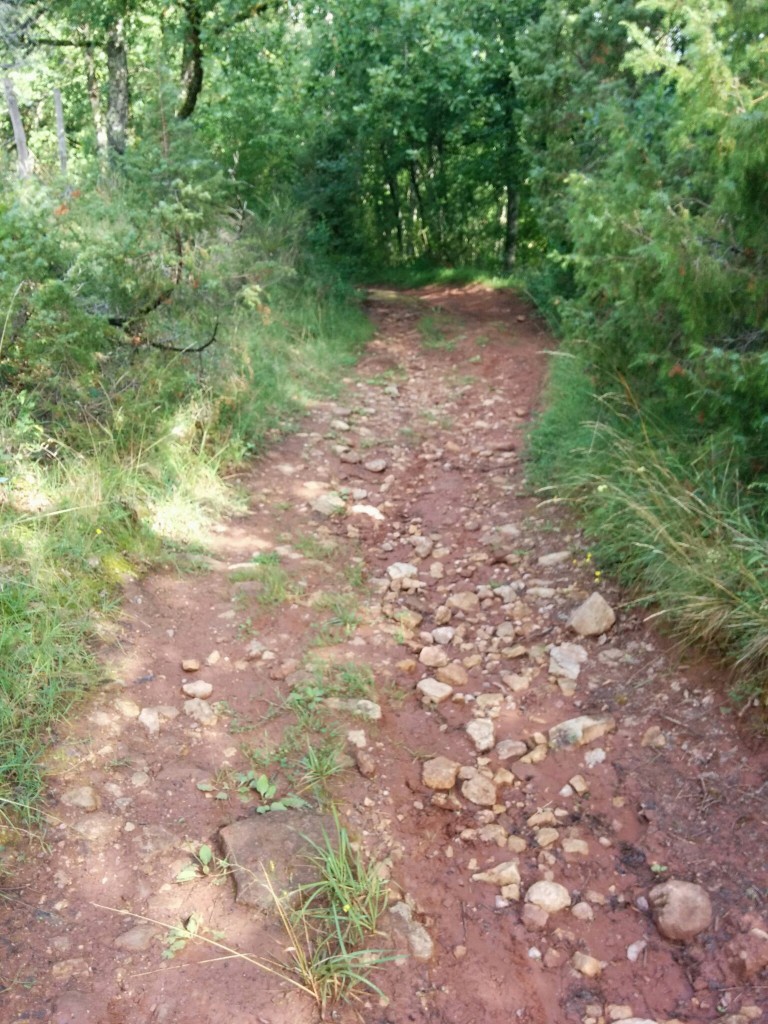 Etape 10 : Montée caillasse